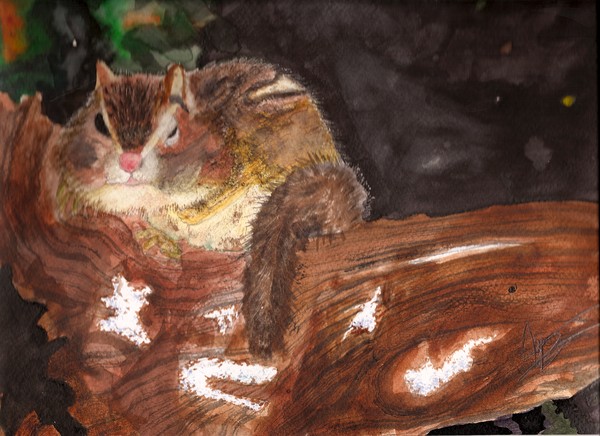 Chipmunk