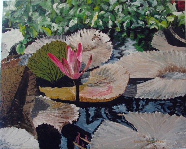 Waterlily #2   Painting