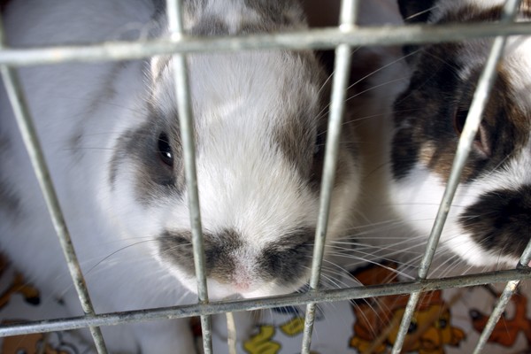Behind bars