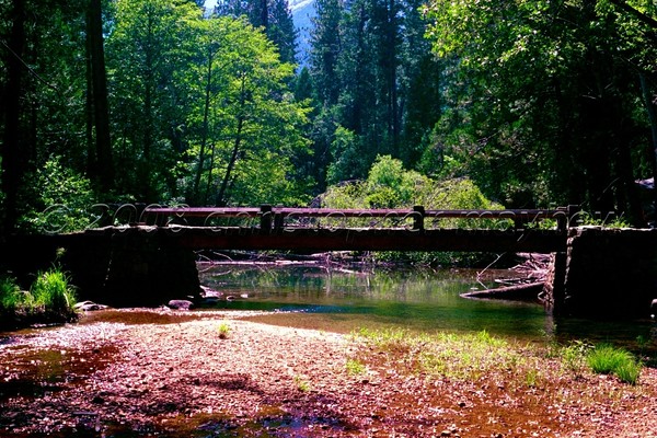 lonely bridge