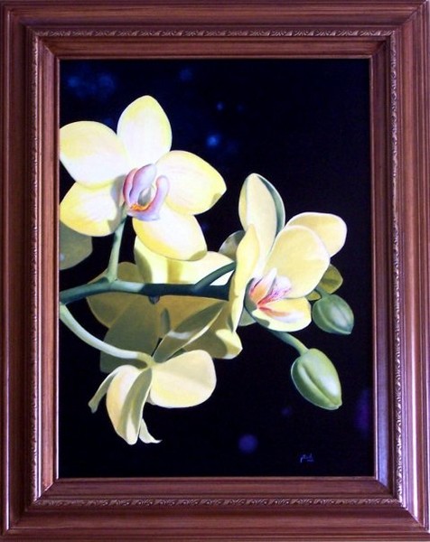 Orchids