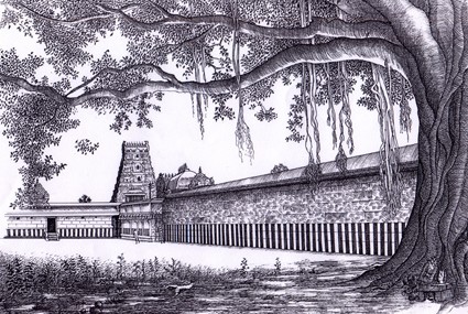Temple Tree