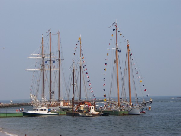 majestic tallships