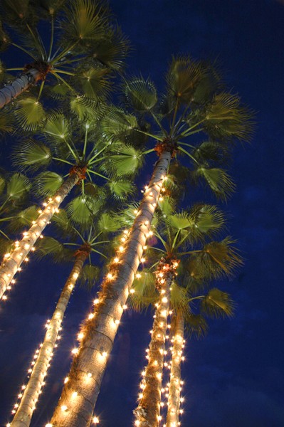 Island Christmas