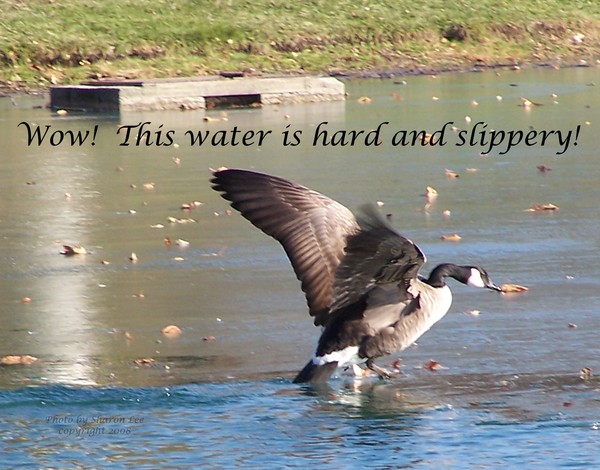 Where did the water go?