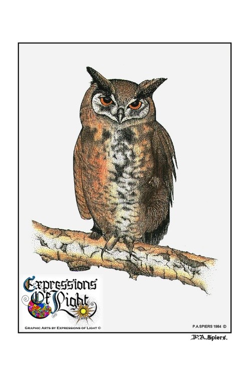 ExpoLight-Graphic-Arts-Owl-1984-0001 (Pen-&-Ink-Coloured-SP)