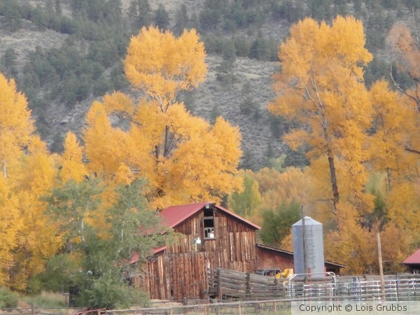 Fall Foilage Sept 2011 My camera 043