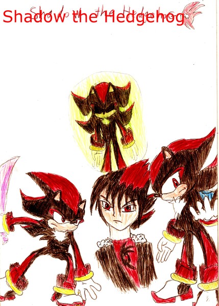 Shadow the humen and hedgehog
