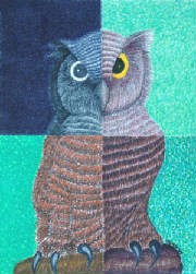 Owl
