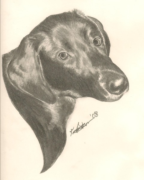 Black Lab