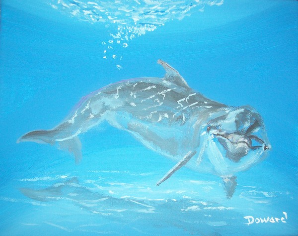 Dolphin Play