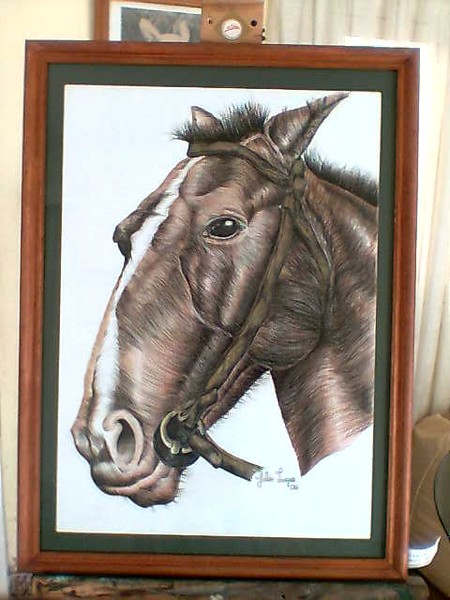 caballo 4
