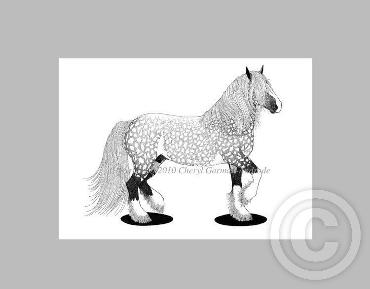 Dappled Gypsy Cob Pen and Ink Stippling