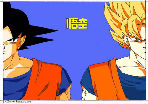 Son Goku Colour