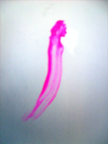 PRINCESS IN PINK.