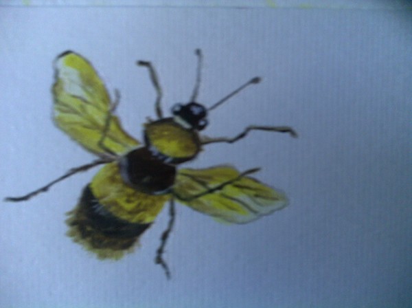 Busy bee