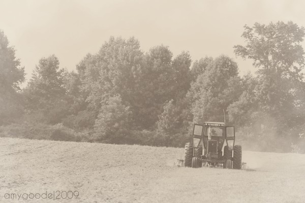 Short Rows
