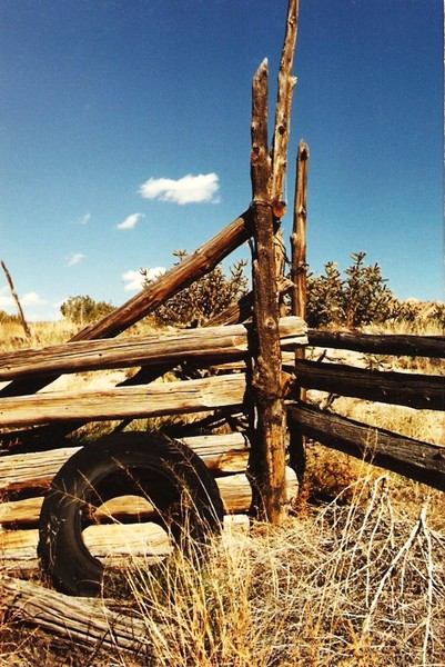 Fence Post in New Mexico Desert
