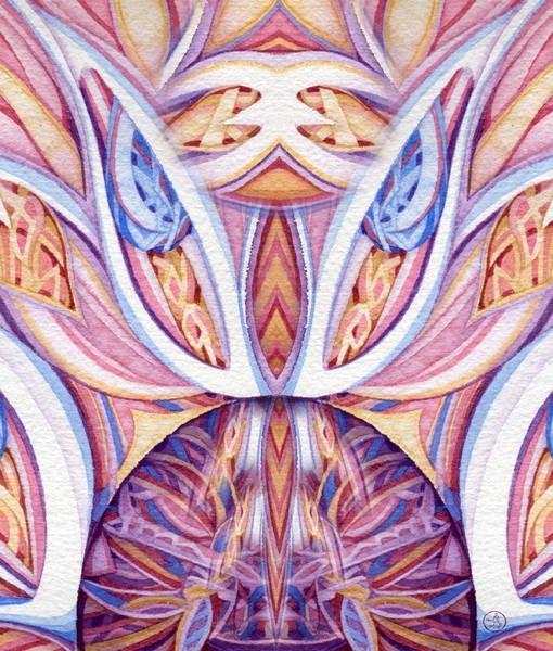 series20 17 B3