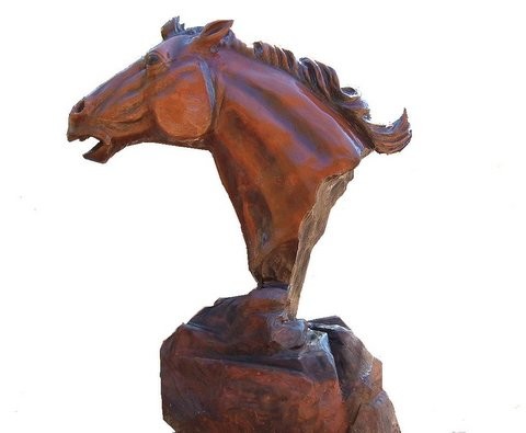 scott's horse head