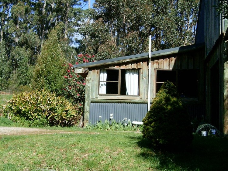 side of the house front lawn