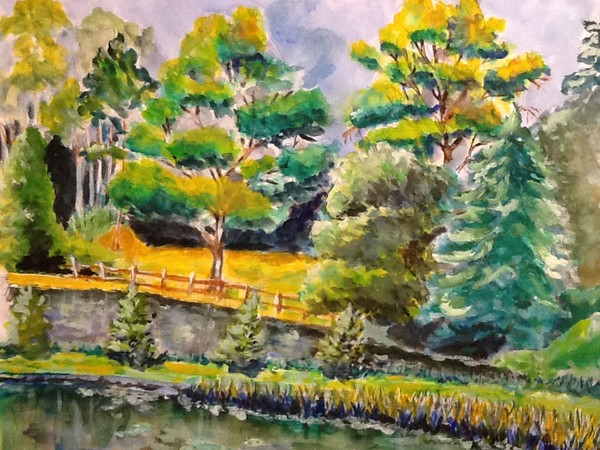 Mama Bear pond