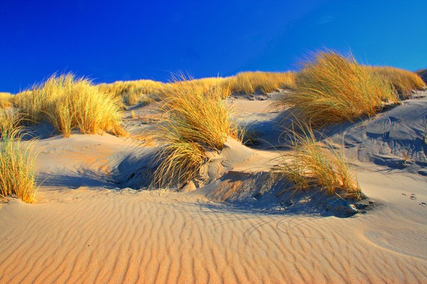 HDR Beach 2