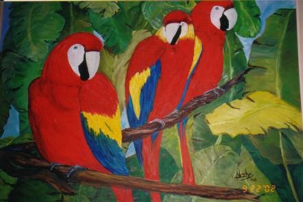 Macaws