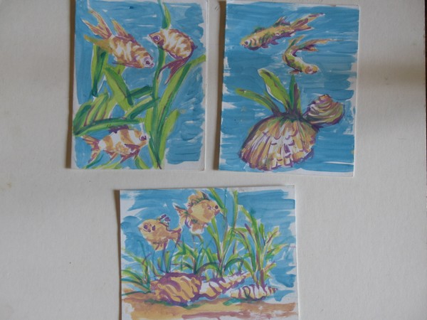 Pool Fish and Shells Group