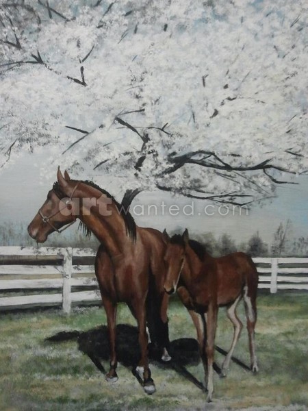 Under the dogwood
