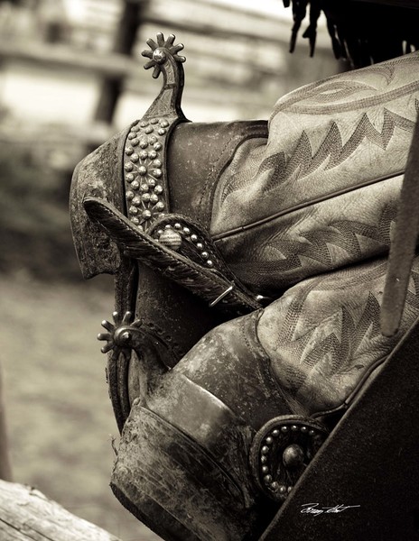 Well Worn Spurs