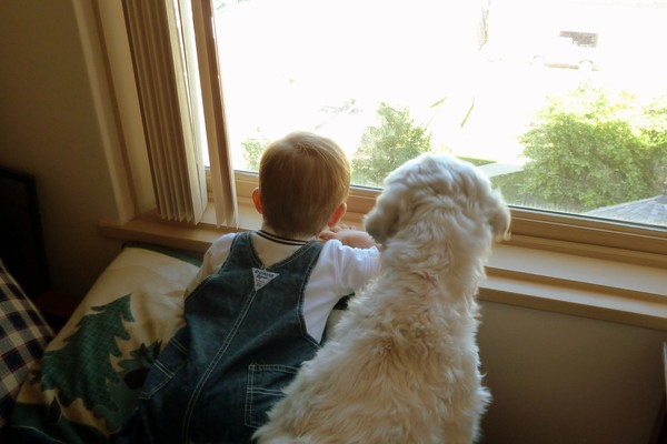 Chase And Sadie