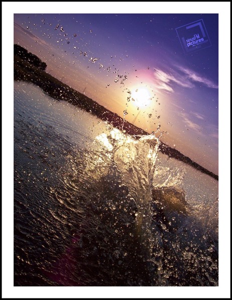 Havoc swims