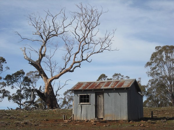 Hut