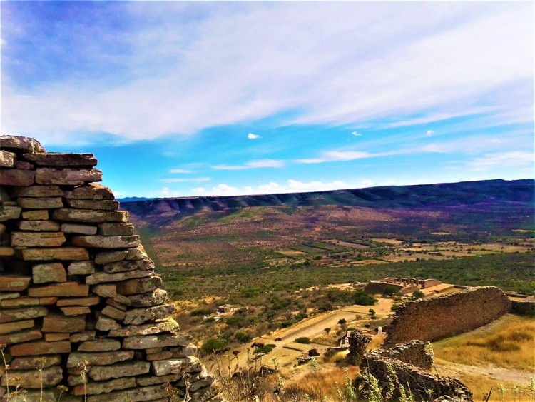 Natural Walls
