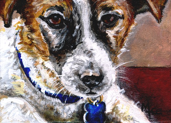 Gunter for Muttville