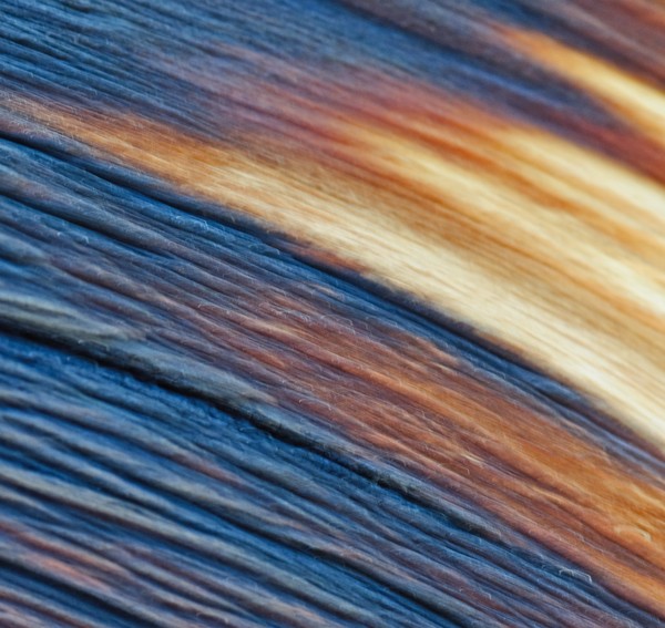 Wood
