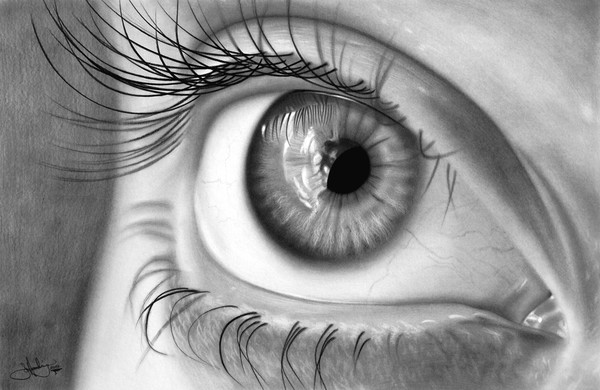 Eye Study drawing