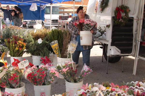 Flowers at Farmer's Market 1