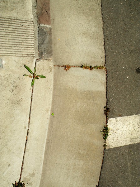 Curb composition V