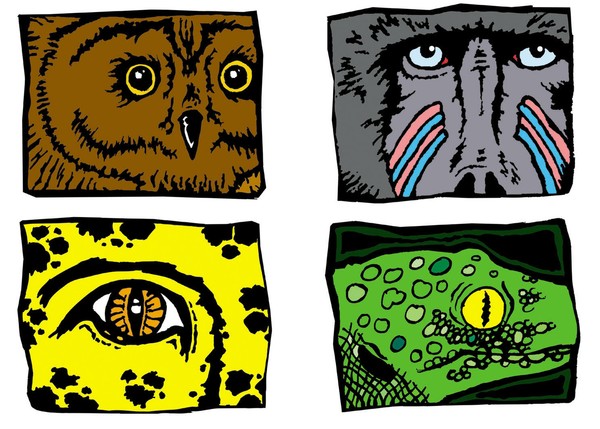 Animals 2