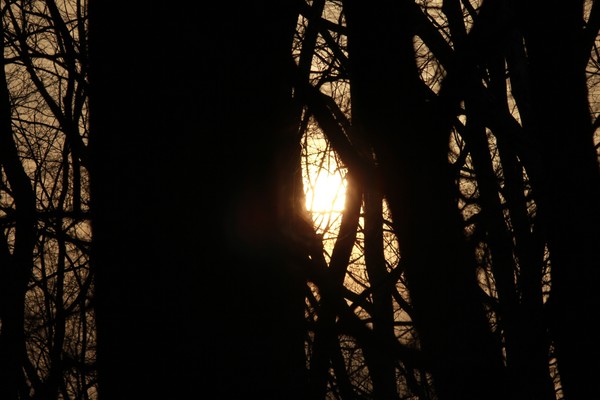 20120302 8