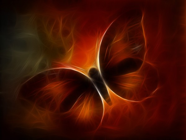 Butterfly Kisses