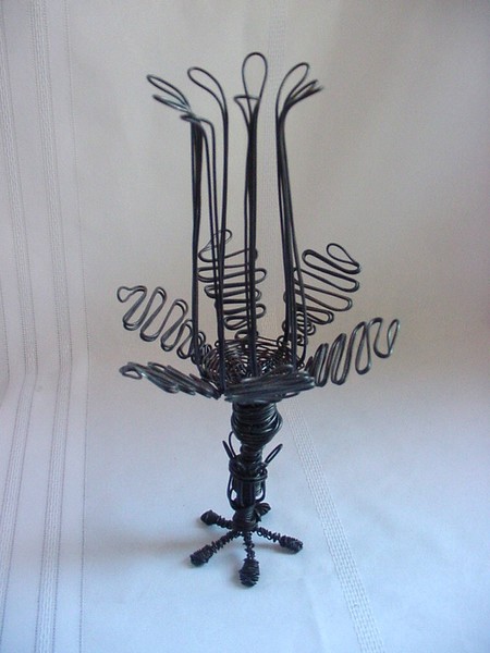black tulip
