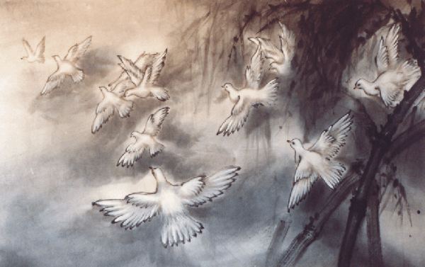 Doves