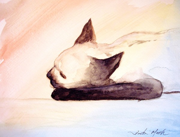 Sleepy Kitty