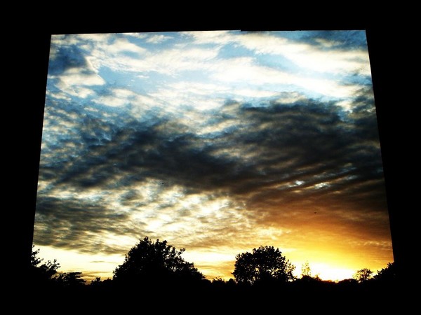 View from the Afternoon