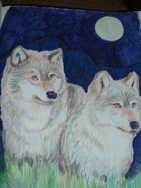 pair of lone wolves