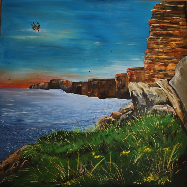 peregrine at the cliffs of moher