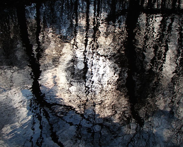 Strangers In The Light 8834 11x14 Print